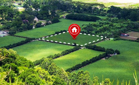 Future of Farmland Investments: Trends & Growth Opportunities