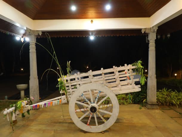 Ayana Farm Fest Weekend