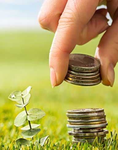 Discover Your Ideal Farmland: Top 5 Tips to Find Your Dream Patch of Earth