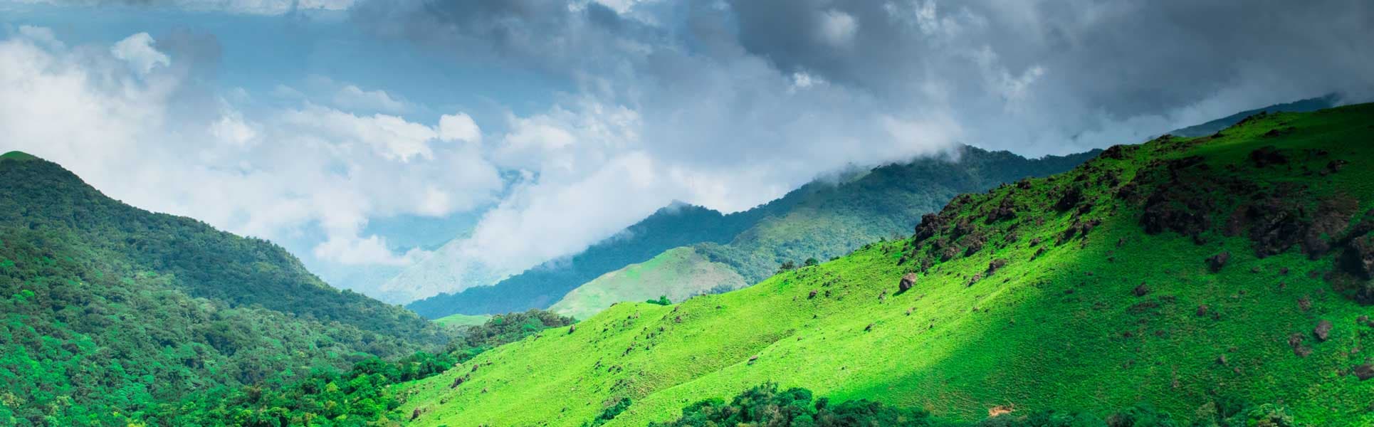 Discover the Hidden Gem of Sakleshpur: Unlocking the Charm of Farmland in the Western Ghats