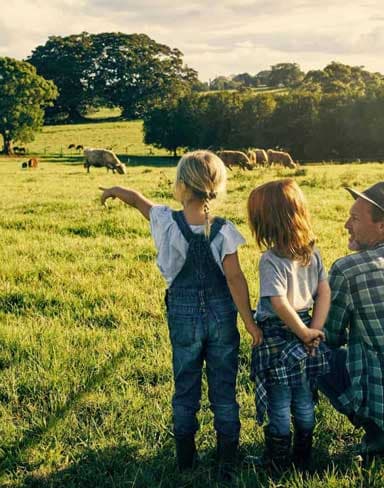 Escape the City: Why More People Are Choosing Farm Living
