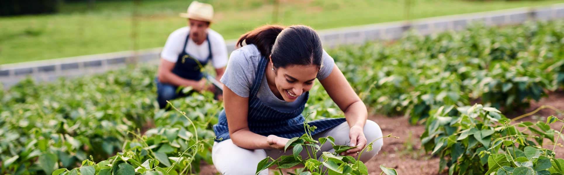 How Connectivity & Infrastructure Are Boosting Farmland Value in Sakleshpur