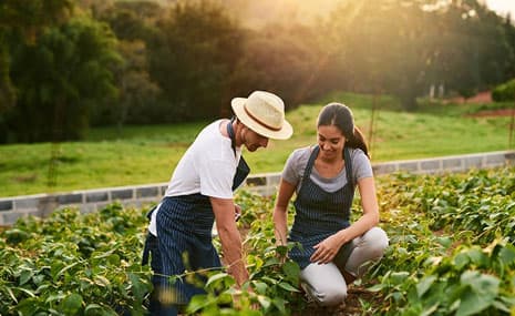 How Connectivity & Infrastructure Are Boosting Farmland Value in Sakleshpur
