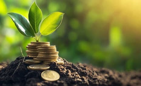 How Farmland Can Be a Passive Income Source for You