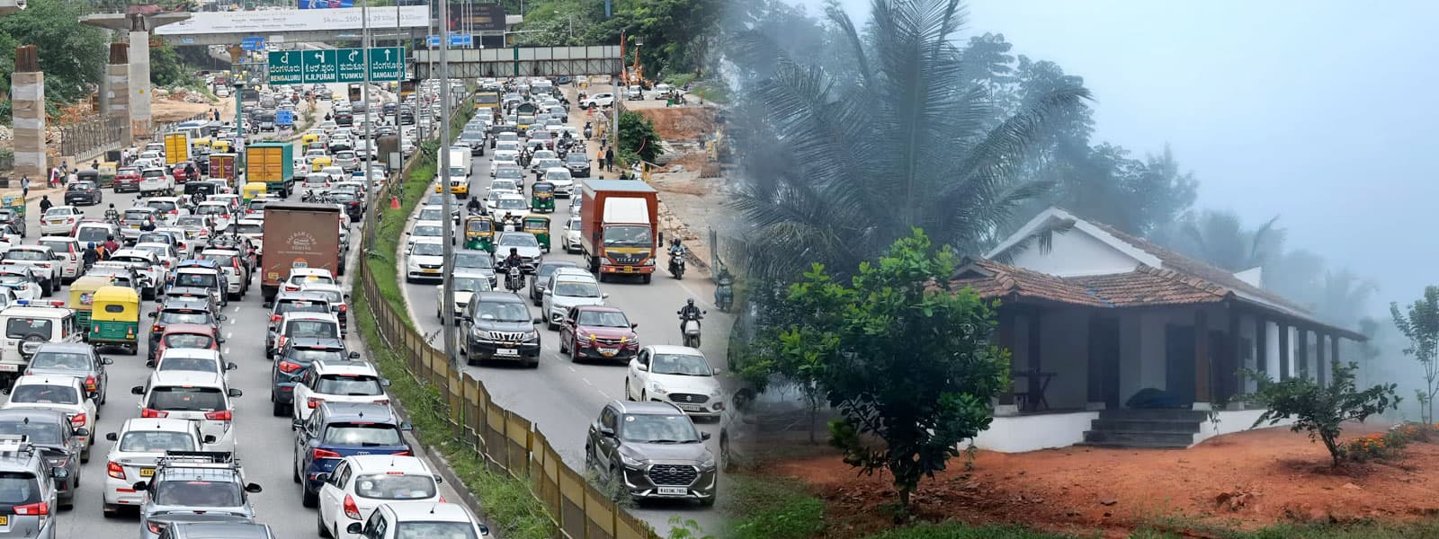 Escape the City: Why More People Are Choosing Farm Living