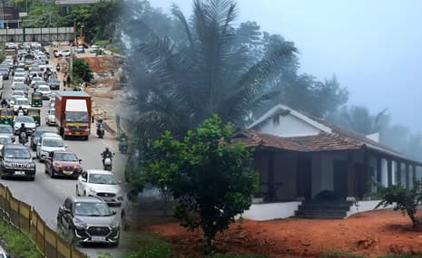 Escape the City: Why More People Are Choosing Farm Living