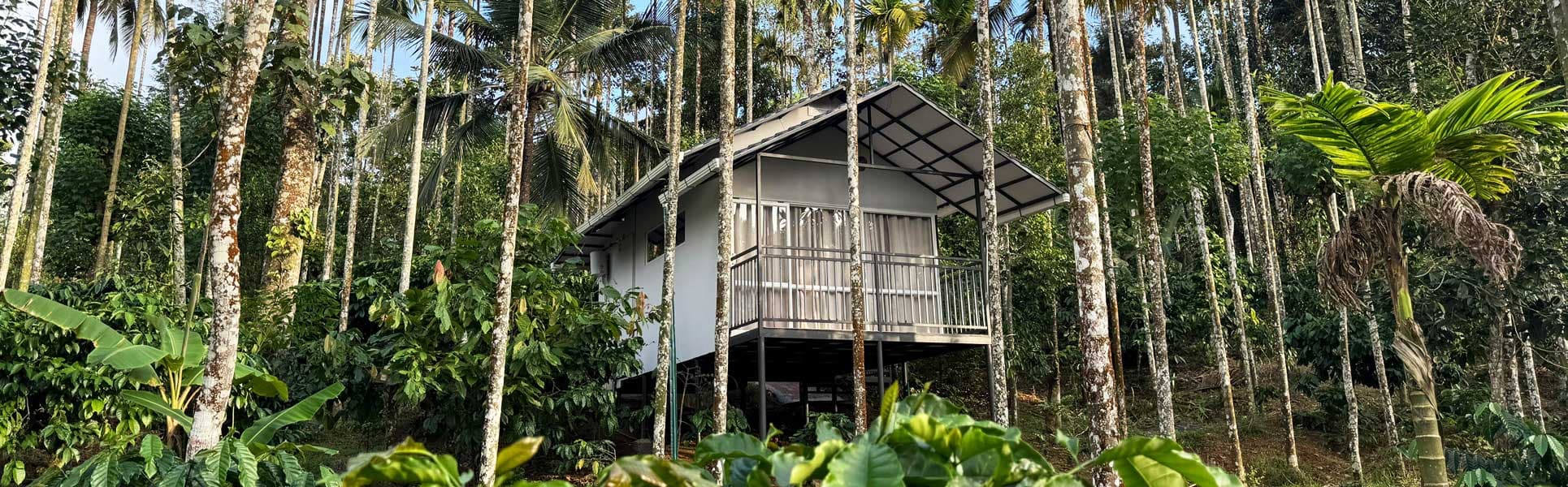 Community-Based Tourism: Supporting Local Farmers in Sakleshpur