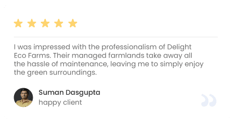 Customer testimonials illustration