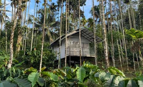 Community-Based Tourism: Supporting Local Farmers in Sakleshpur