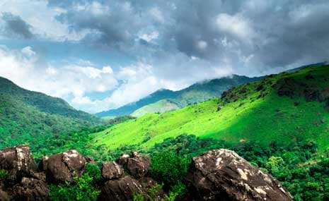 Discover the Hidden Gem of Sakleshpur: Unlocking the Charm of Farmland in the Western Ghats