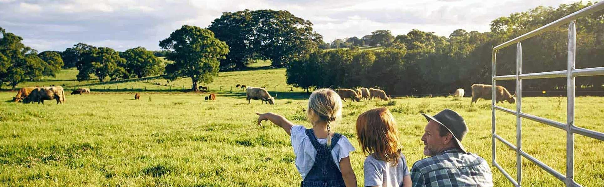 Escape the City: Why More People Are Choosing Farm Living