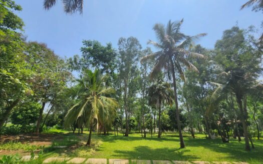 farmland Bangalore